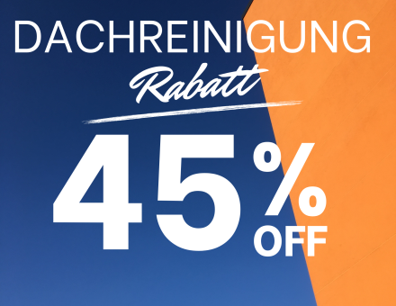 Red Clean Valentine Special Sale Instagram Post